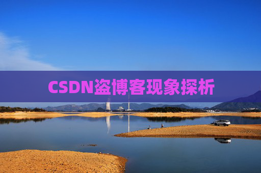 CSDN盗博客现象探析